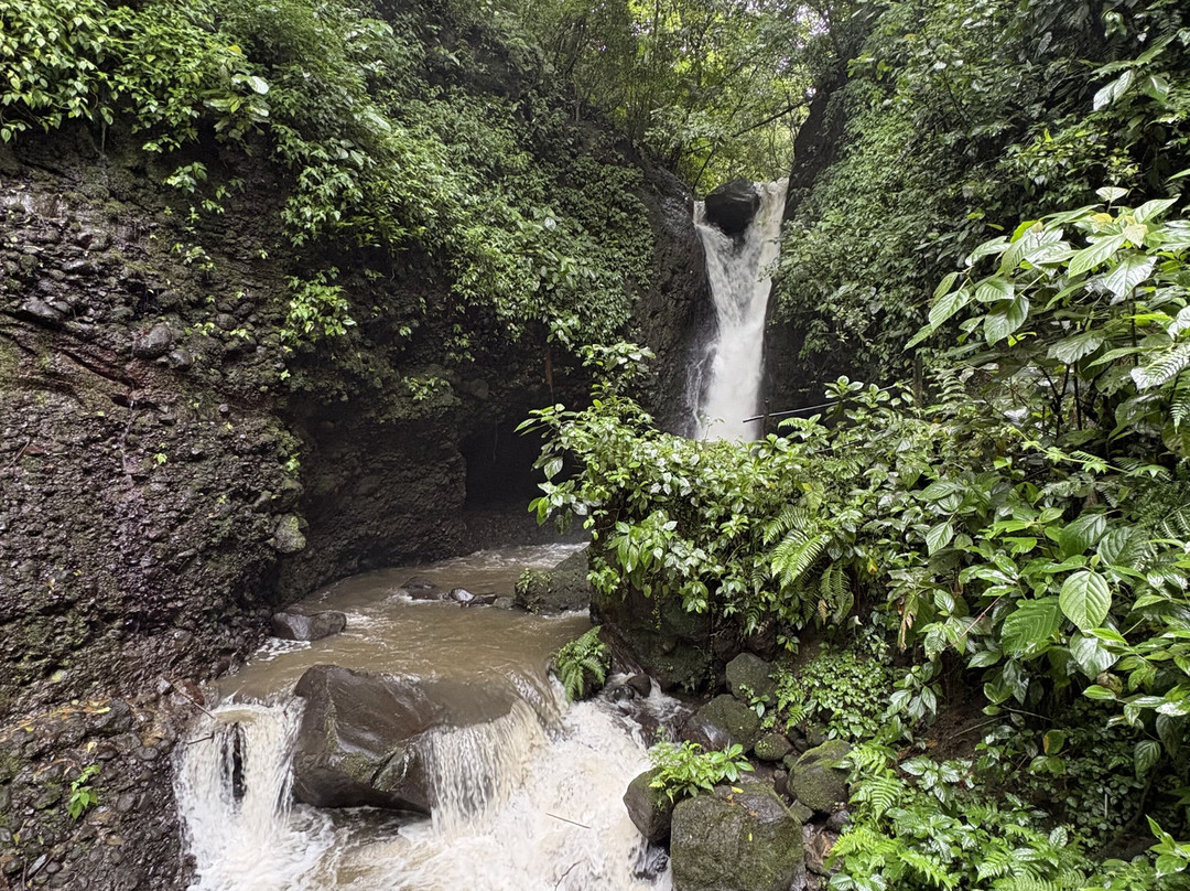 Manakin Waterfalls Nature Reserve.-Tilaran必去景点