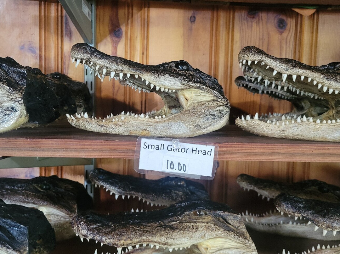 New Orleans Airboat Tours-Marrero必去景点