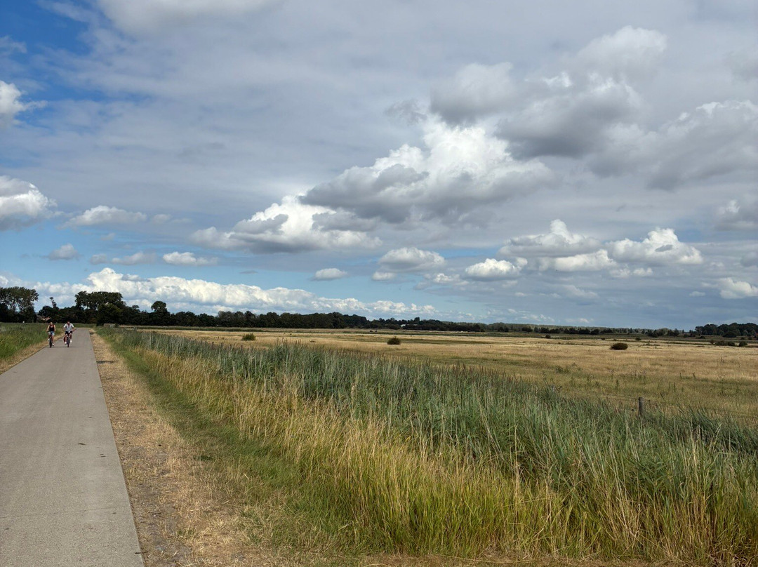 Boswachterspad Veerse Bos-Veere必去景点