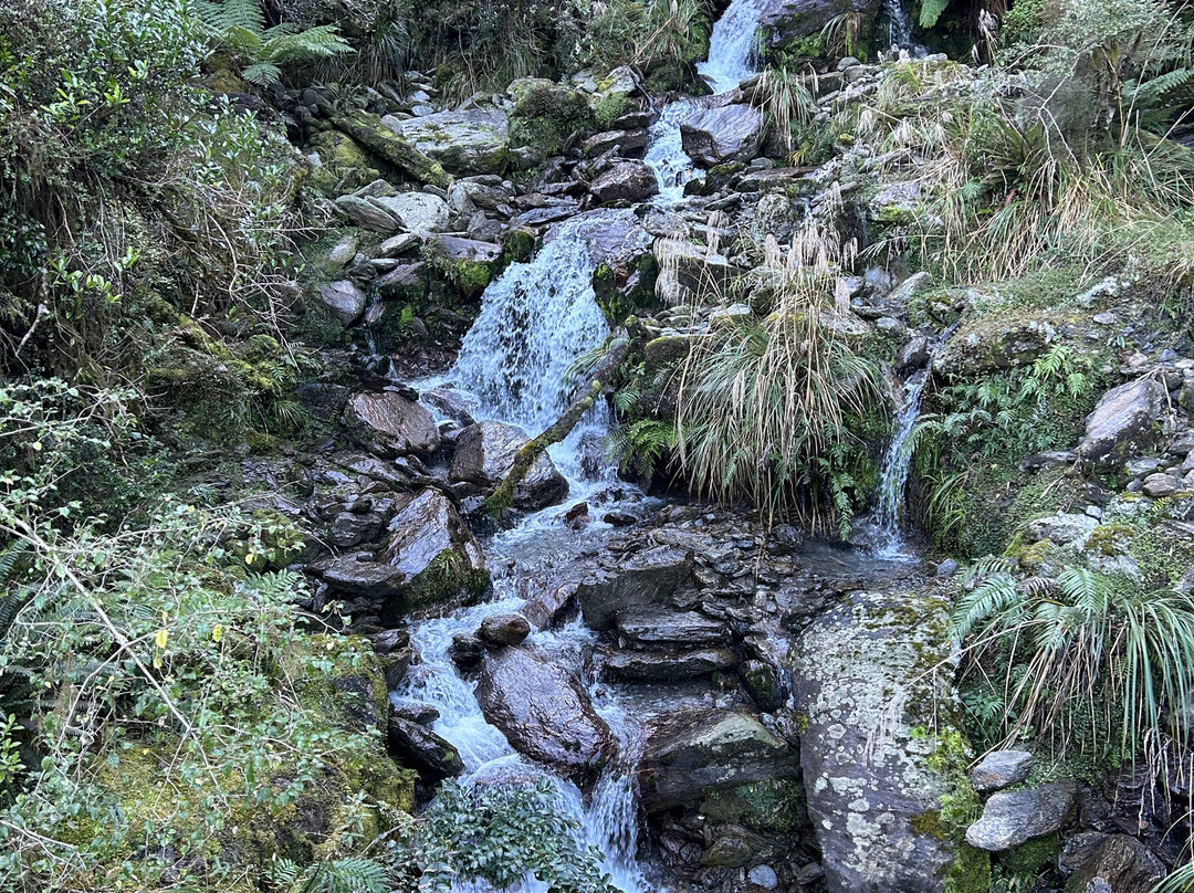 雨林旅馆主图