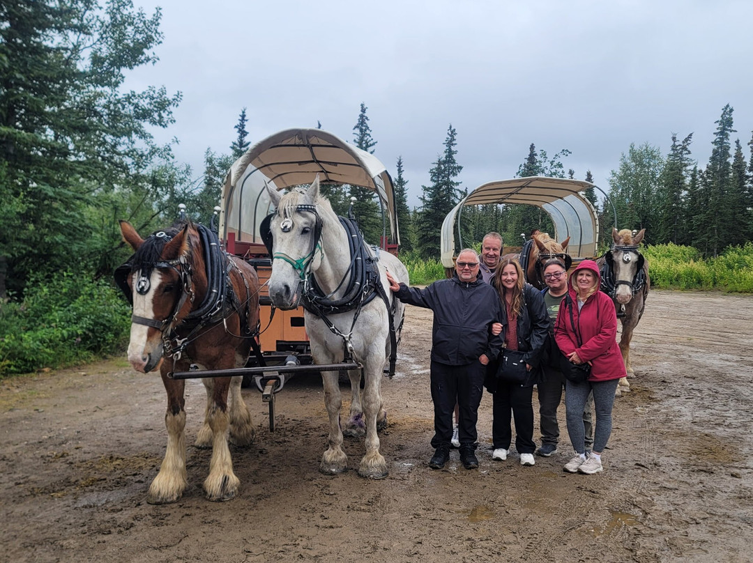Denali Black Diamond Covered Wagon-Denali Park必去景点