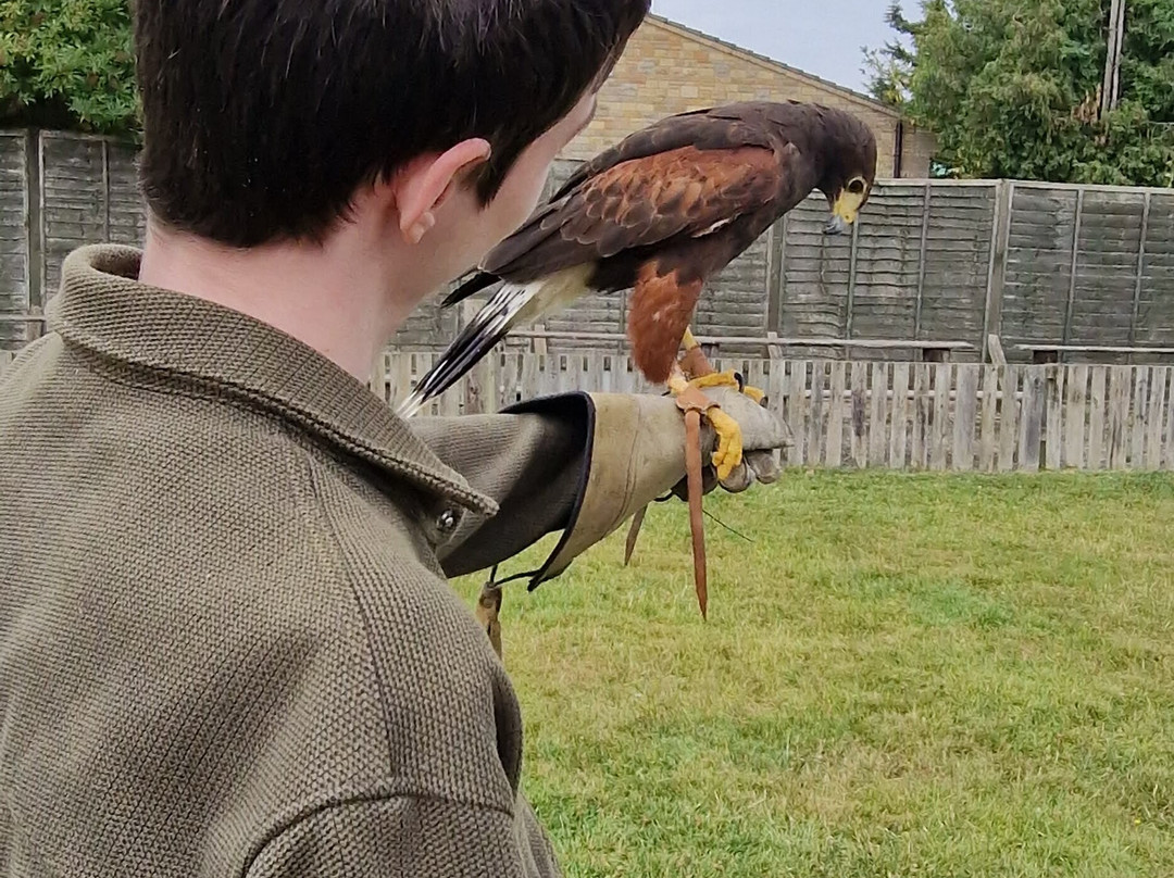 Baytree Owl and Raptor Centre-Spalding必去景点