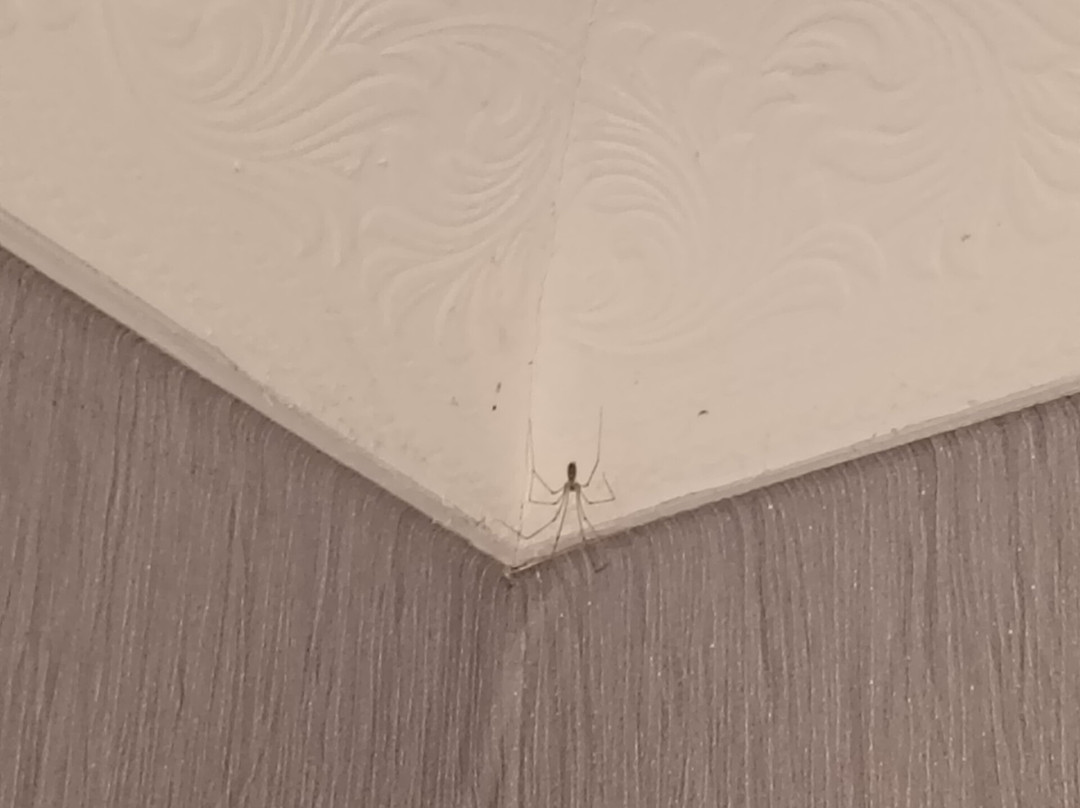锻造旅舍主图