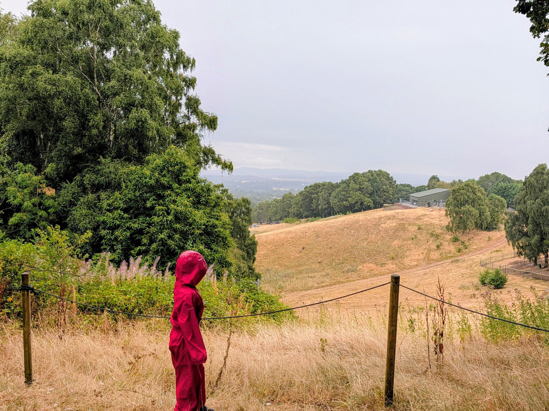 Habberley Trail-Kidderminster必去景点