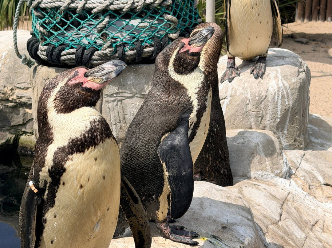 Weymouth SEA LIFE Adventure Park-韦茅斯必去景点