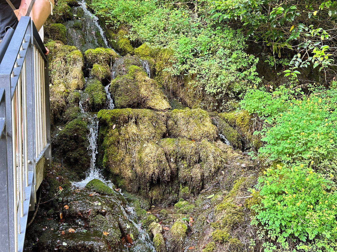 Parco Grotta Cascata Varone-Tenno必去景点