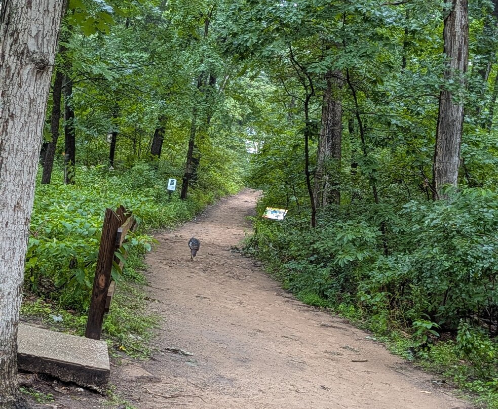 Indiana Dunes State Park-Chesterton必去景点