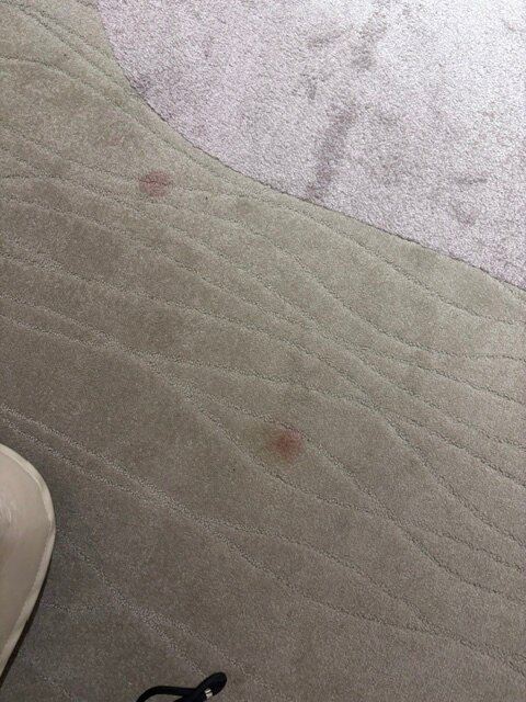美丽华拉西加尔海水浴及 Spa 酒店-旅行者