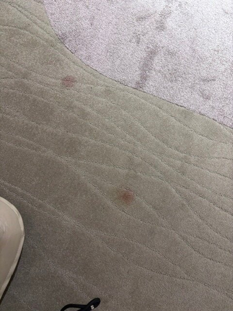 美丽华拉西加尔海水浴及 Spa 酒店主图