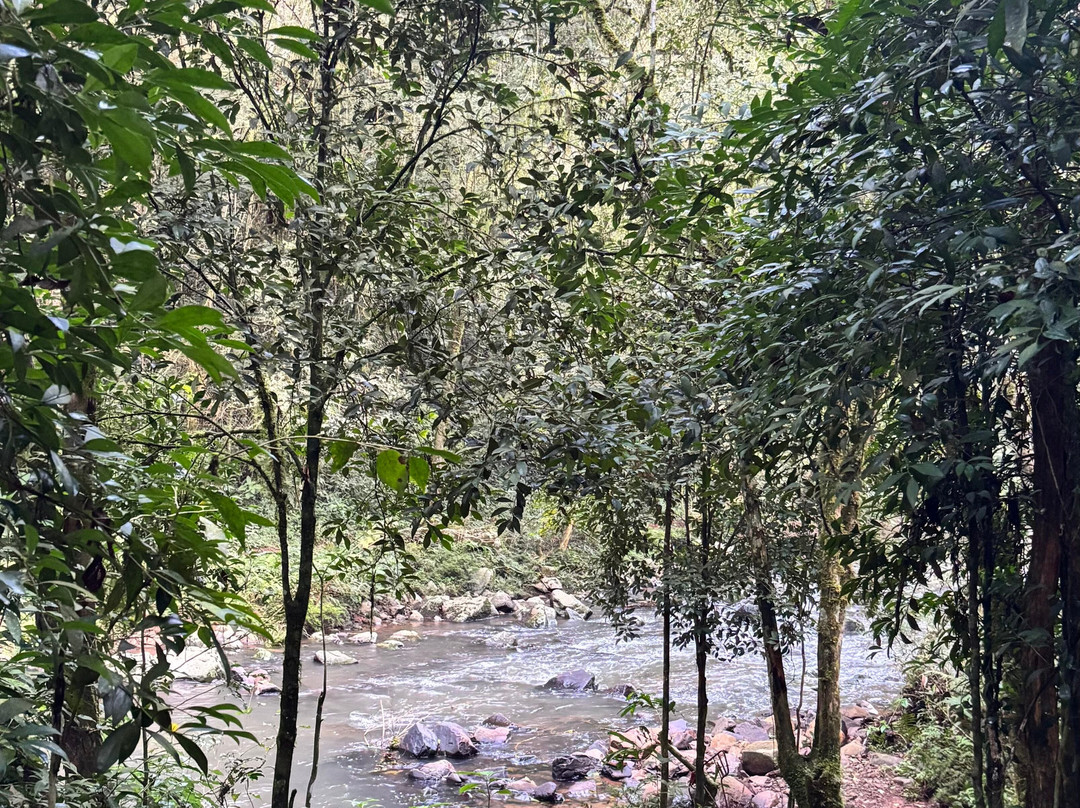 Trívia Spur-Sao Joao do Oeste必去景点