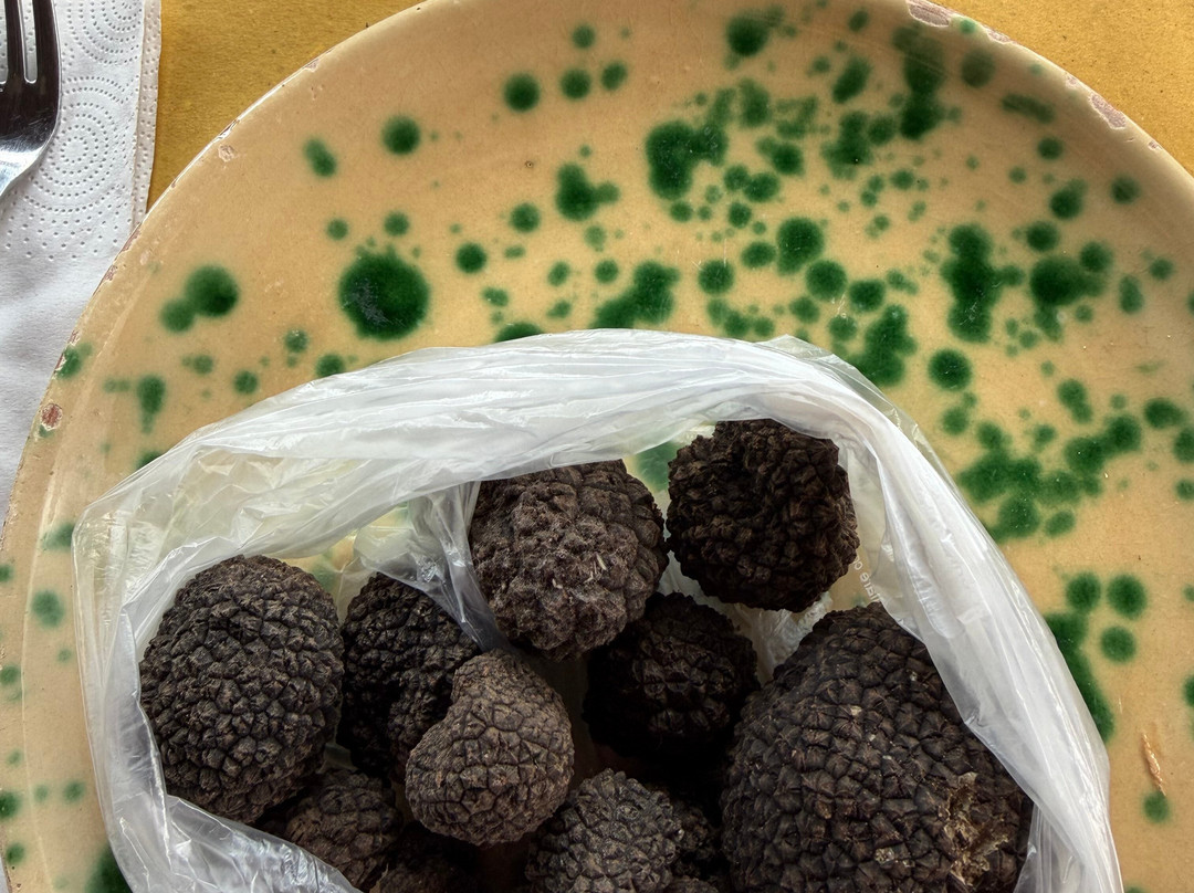 Matteo Truffle Experience-Canale Monterano必去景点