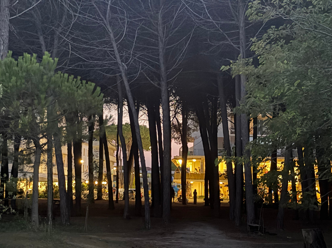 Hotel Garden Pinarella主图