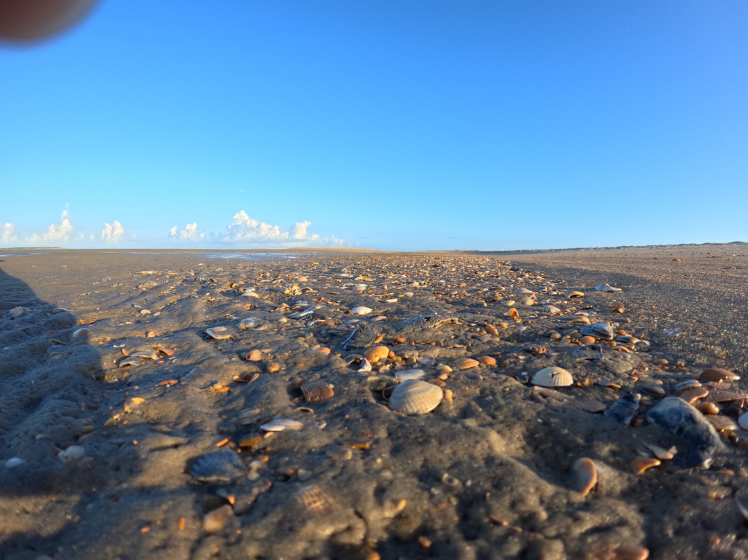 Kite Hatteras Private Boat Excursions-Hatteras必去景点