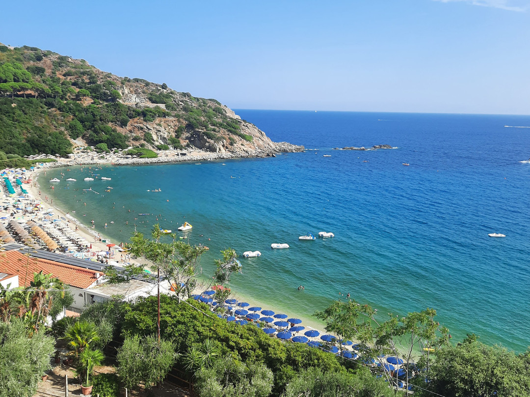 Spiaggia di Cavoli-Marina di Campo必去景点