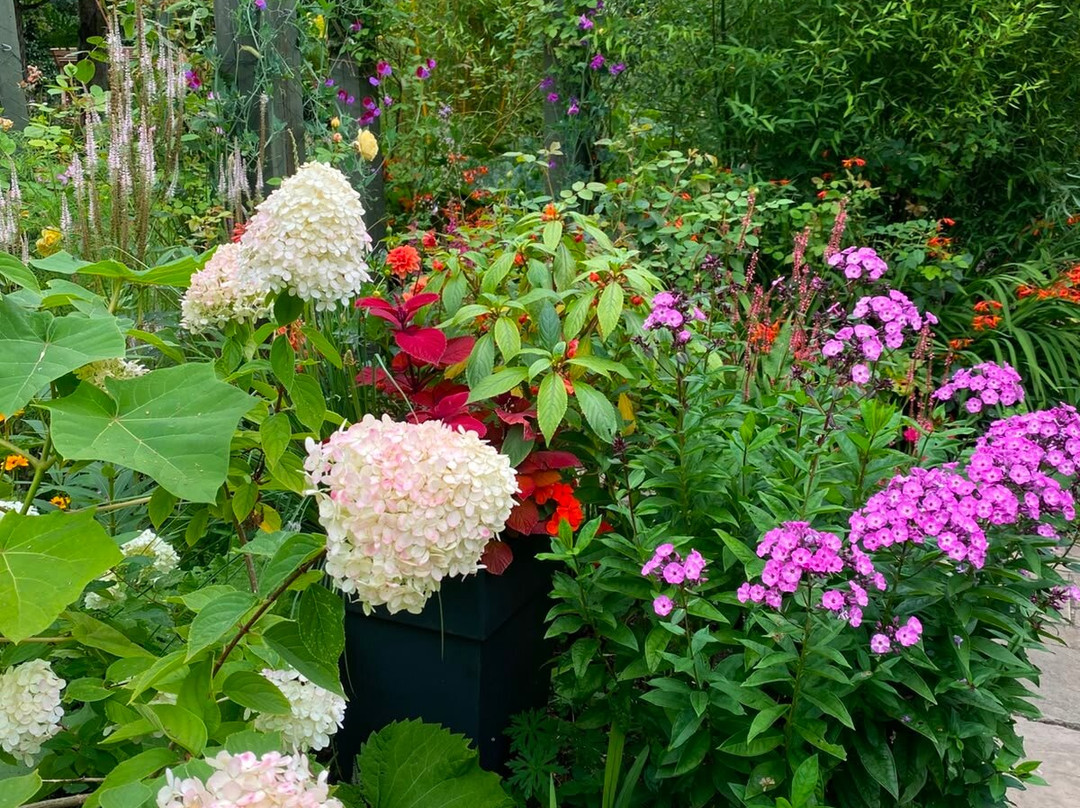 Terra Nova Garden-利默里克必去景点