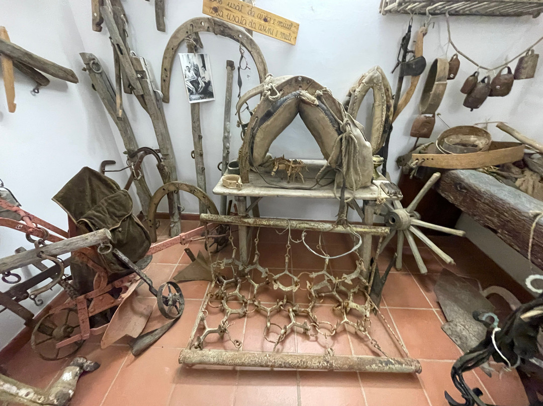 Museo Civico Archeologico di Ferrandina - MAFE