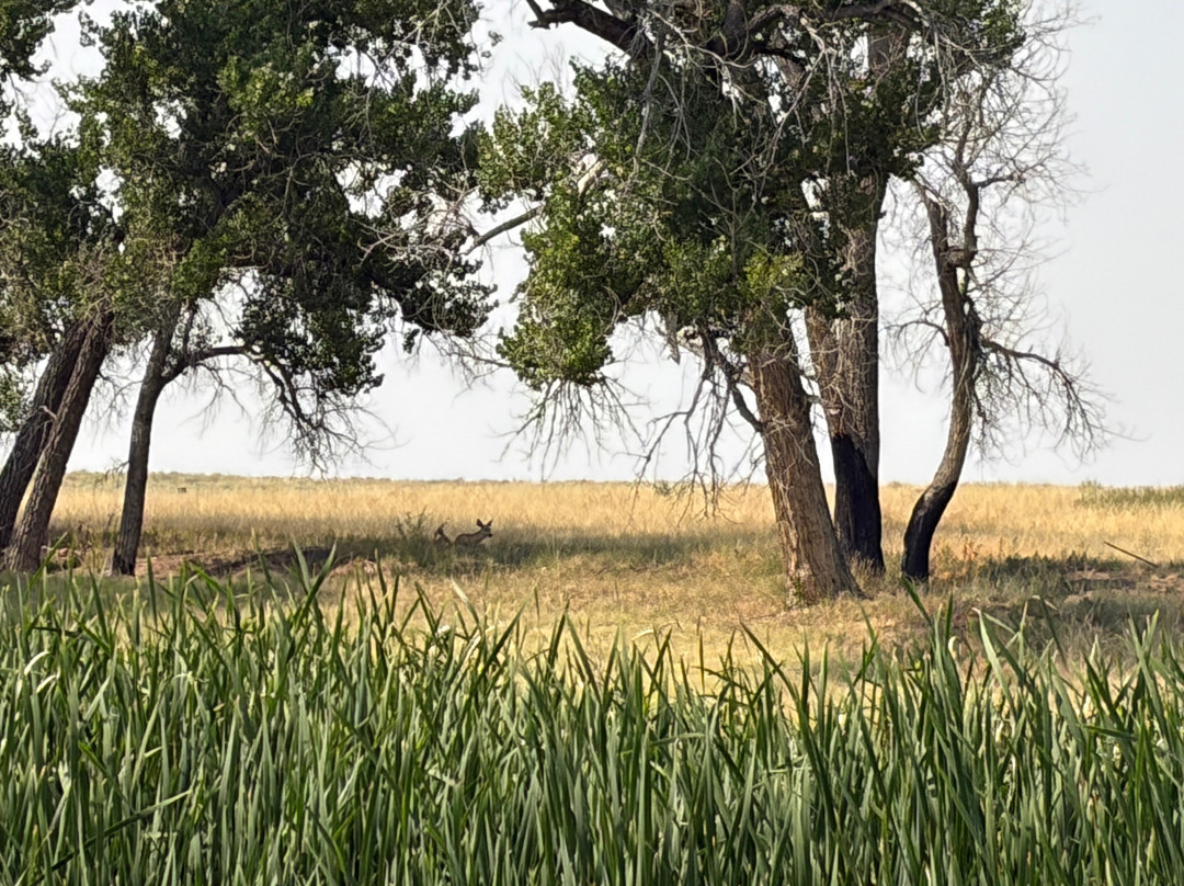 Rocky Mountain Arsenal National Wildlife Refuge-Commerce City必去景点