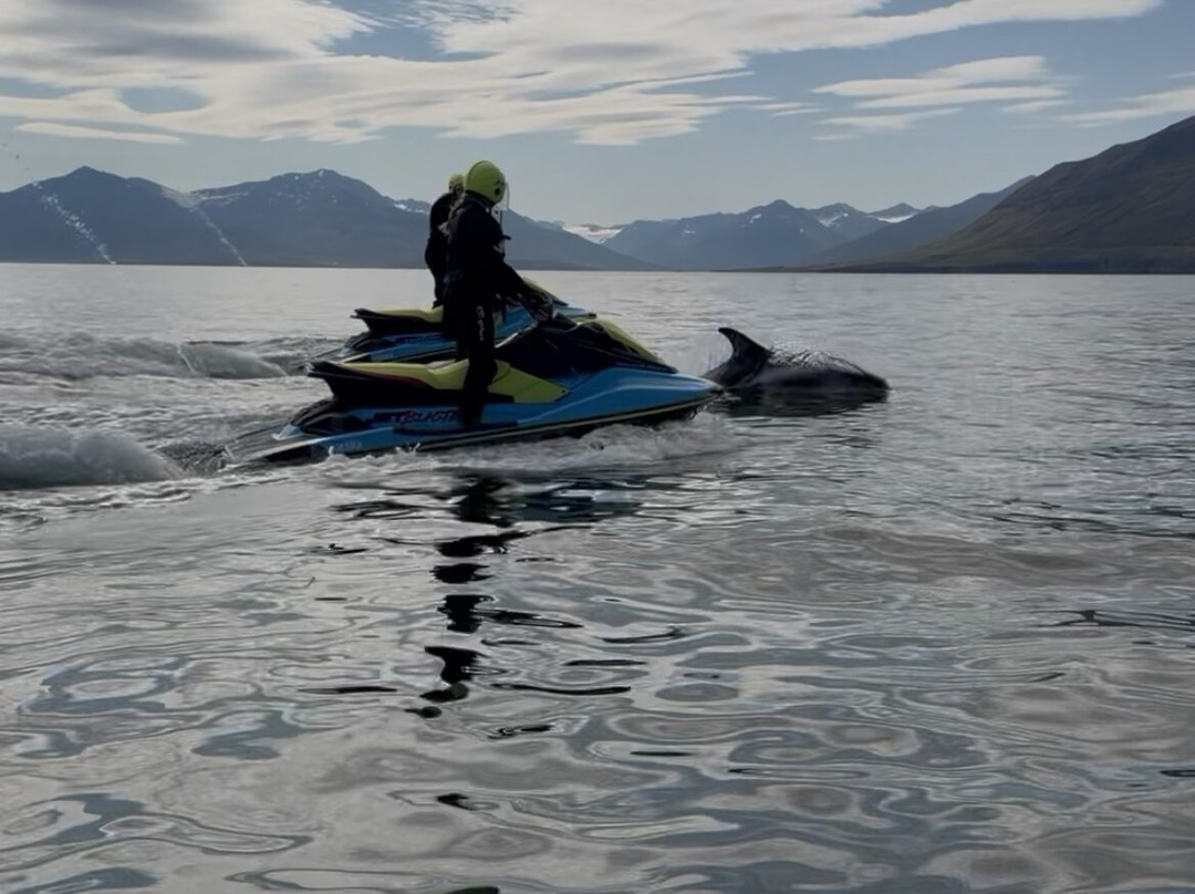 Fairytale At Sea-Olafsfjordur必去景点
