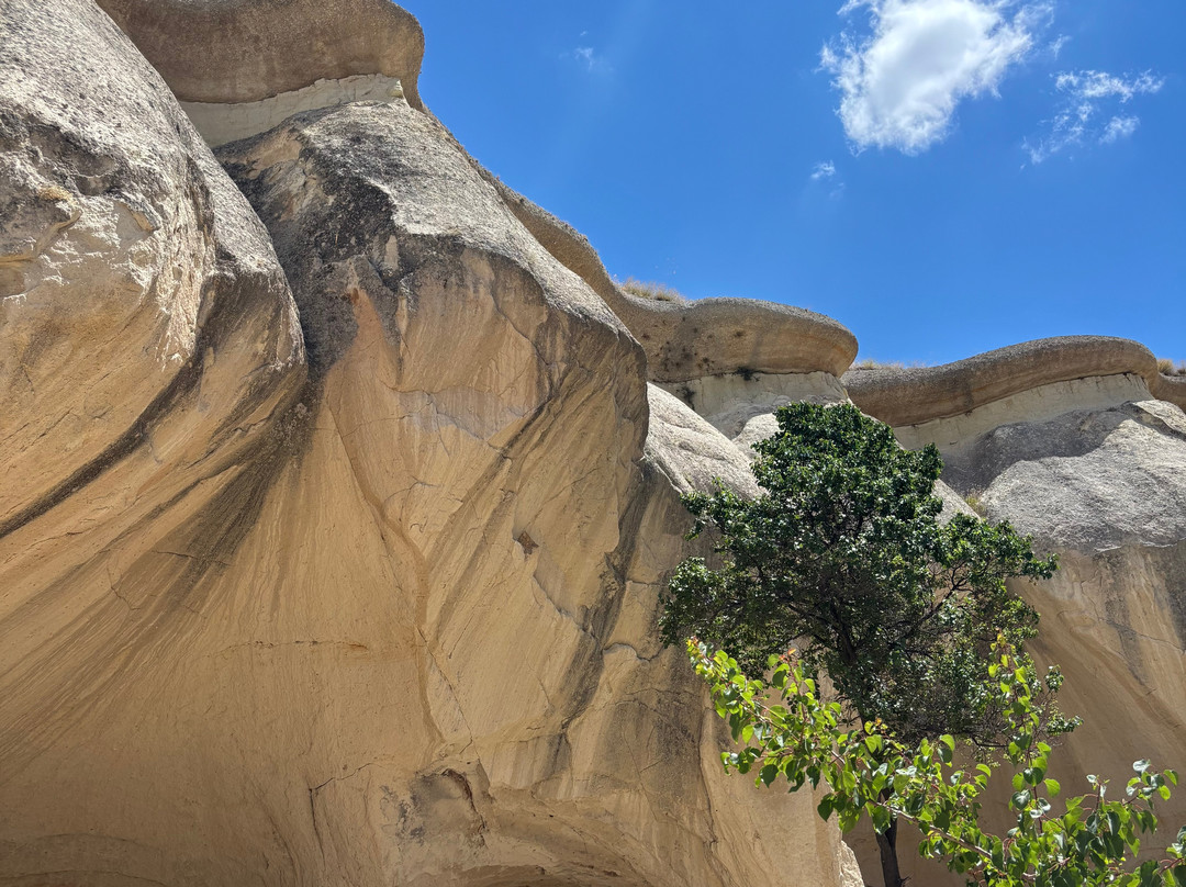 Fairy Chimneys-乌奇萨必去景点