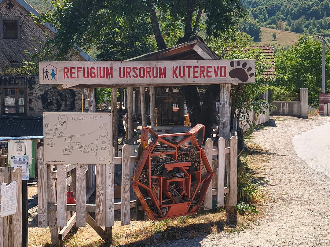 Bear Sanctuary-Kuterevo必去景点