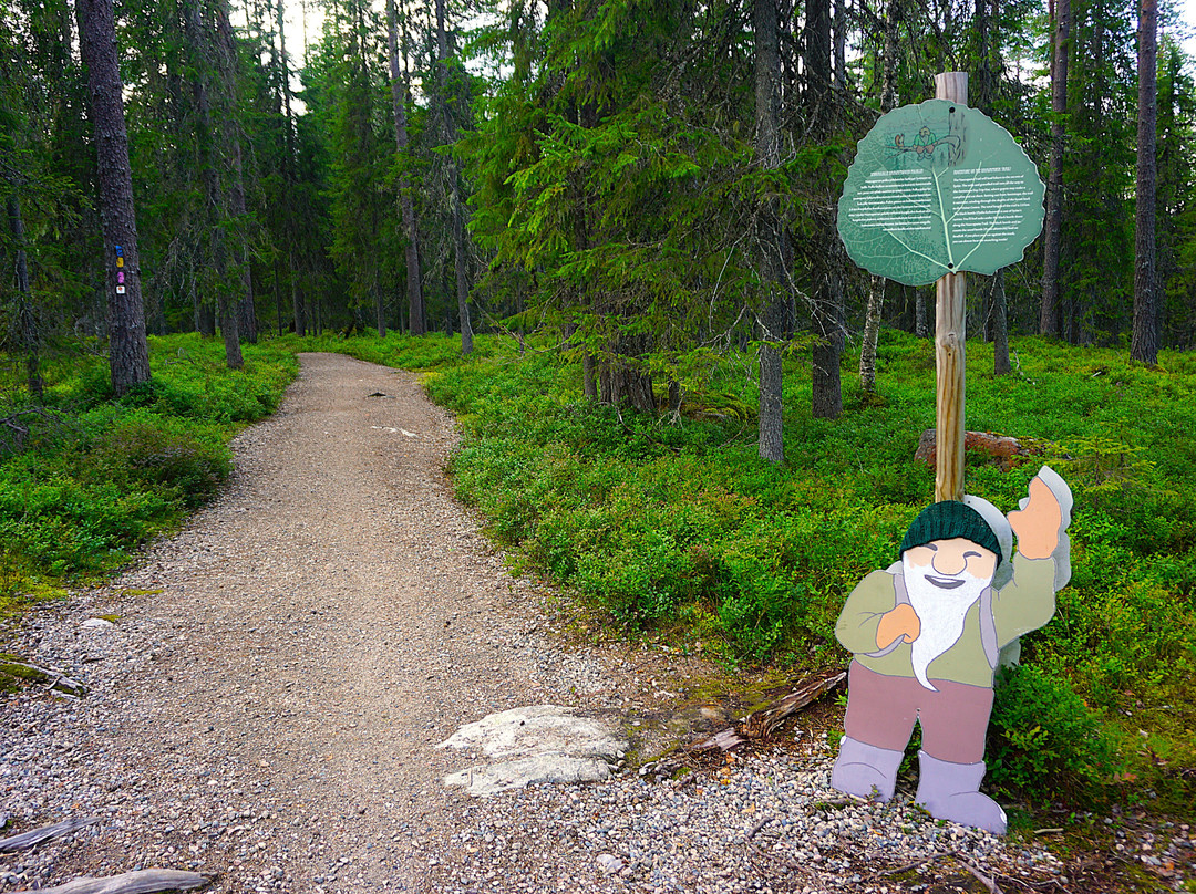 Syote National Park-Pudasjarvi必去景点