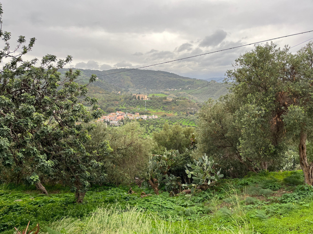 Sito archeologico di Tindari (Patti, Me)-Tindari必去景点
