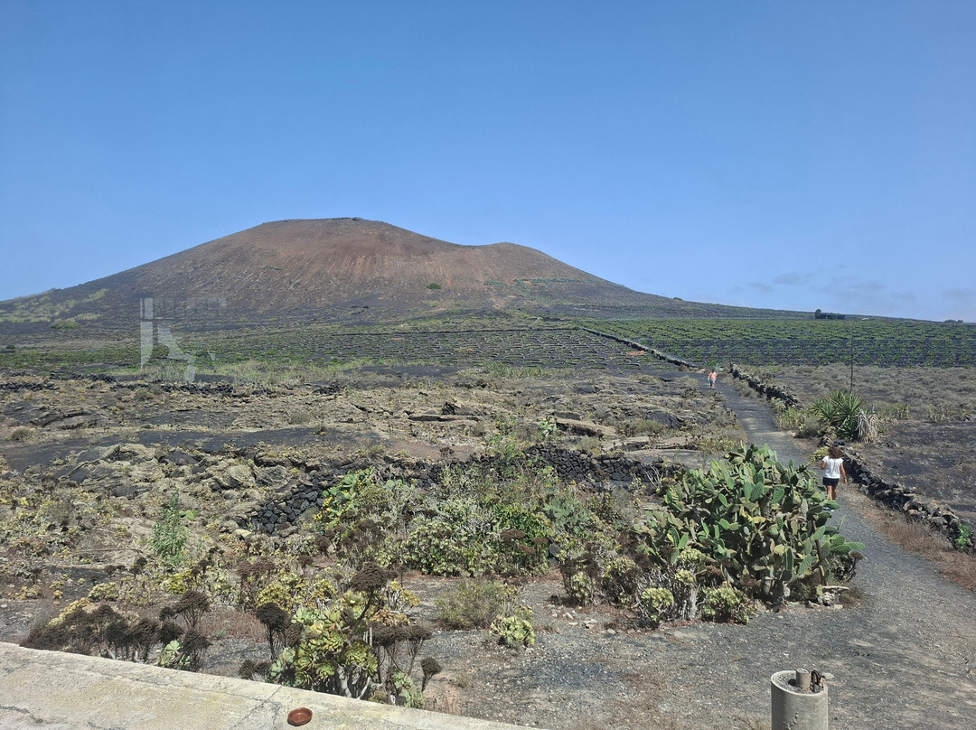 Timanfaya National Park-兰萨罗特必去景点