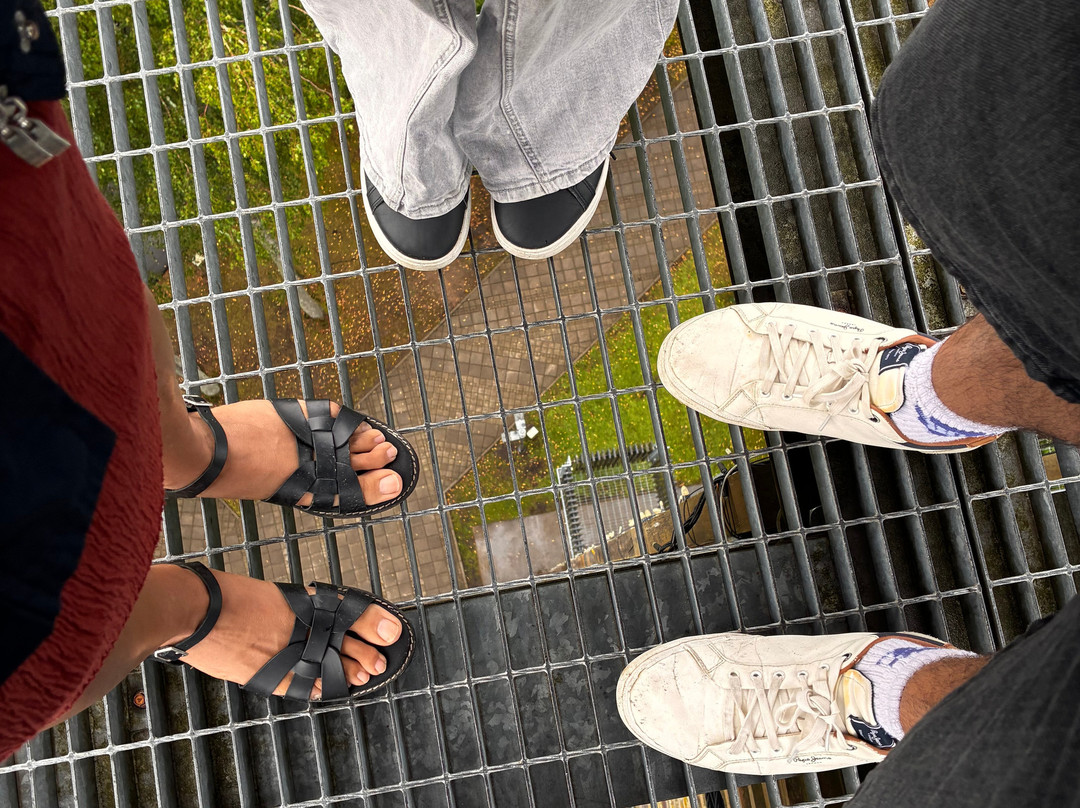 Viewing Tower by Architect Bureau ARHIS-尤尔马拉必去景点
