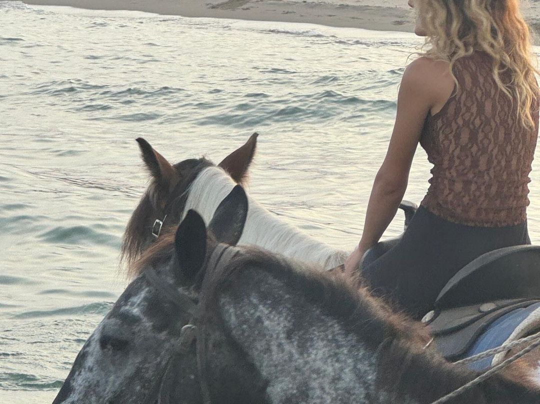 Family Horses 373-5361953-Marina di Ginosa必去景点