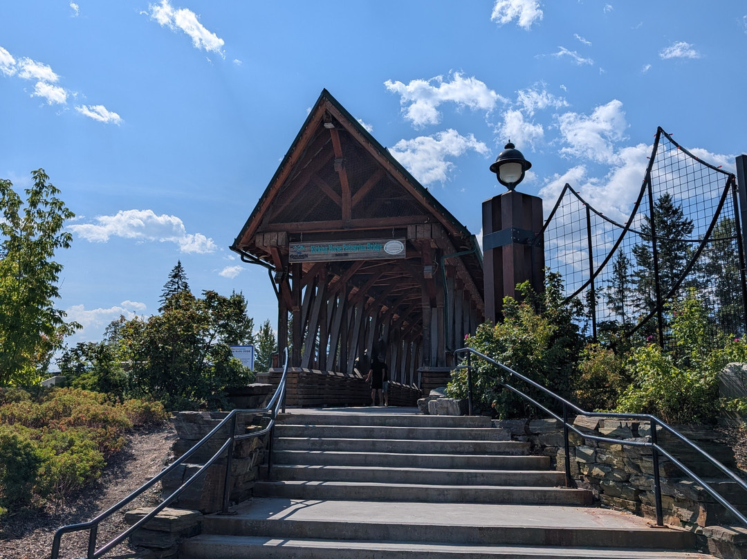 Kicking Horse Pedestrian Bridge-戈尔登必去景点