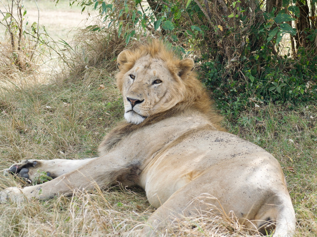 Activentures Africa Safaris-坎帕拉必去景点