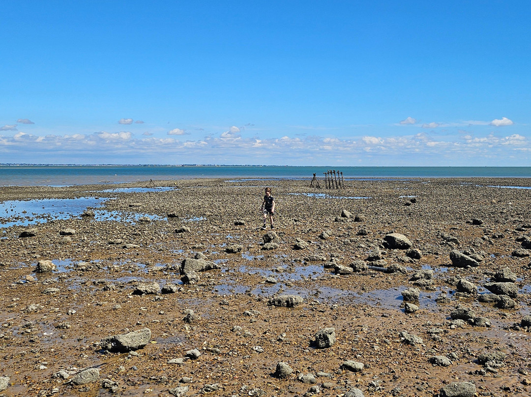 Sheerness Beach-Sheerness必去景点