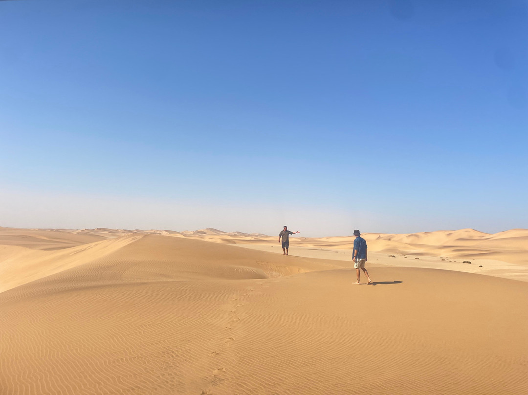 Living Desert Adventures Discover the Little 5-斯瓦科普蒙德必去景点