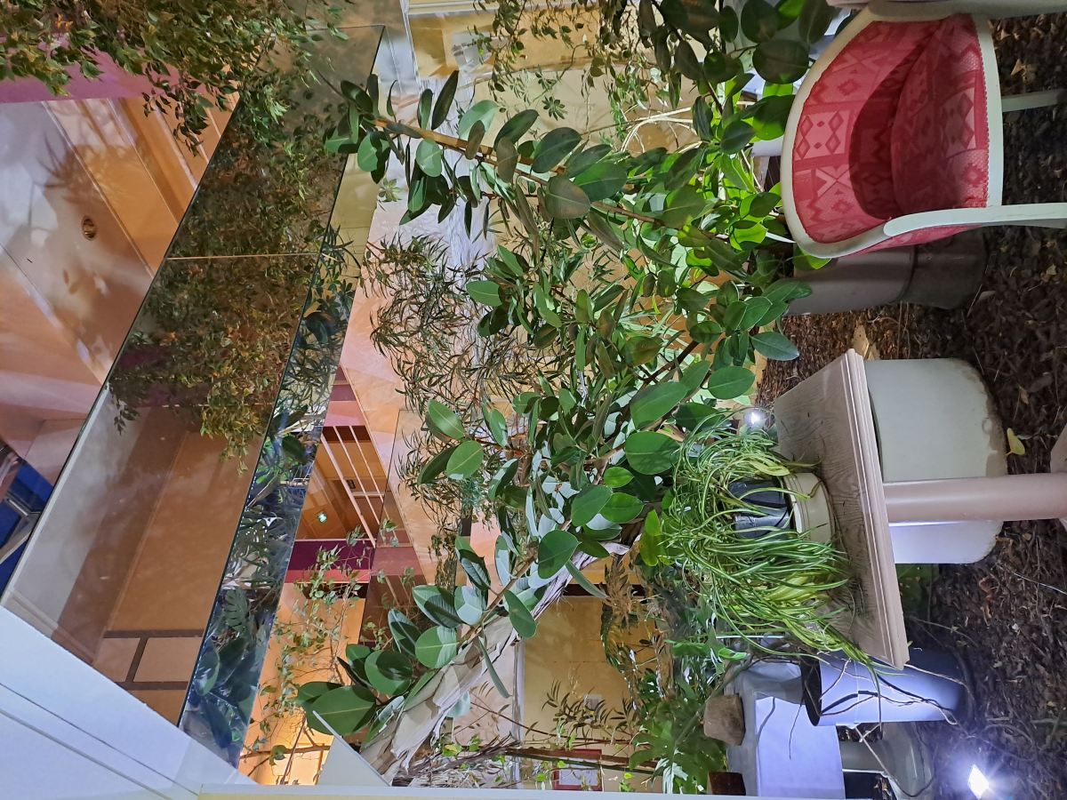 盖布维莱尔天使原生酒店-度假村/酒店