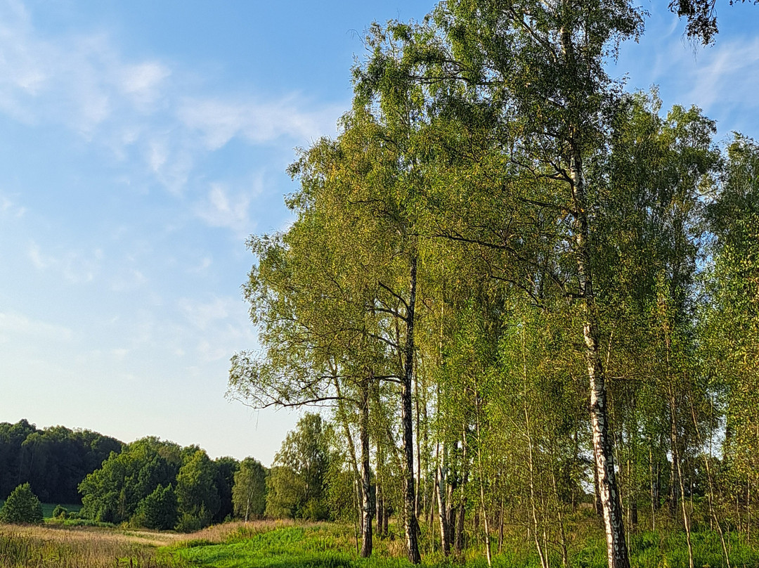 Museum-estate of Leo Tolstoy-Yasnaya Polyana必去景点