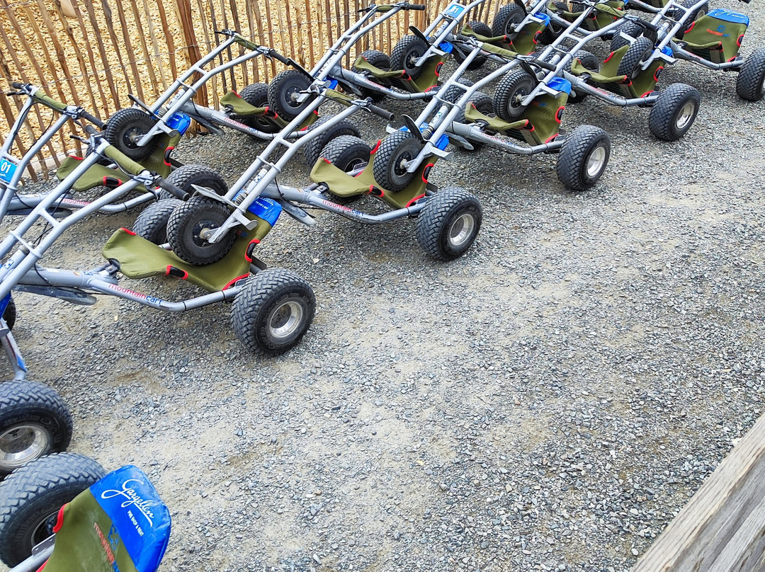 Mountaincarts