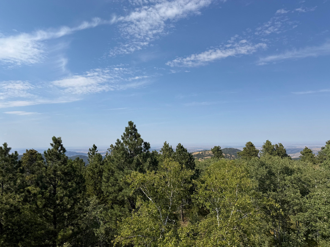 Mt Roosevelt Monument-戴德伍德必去景点
