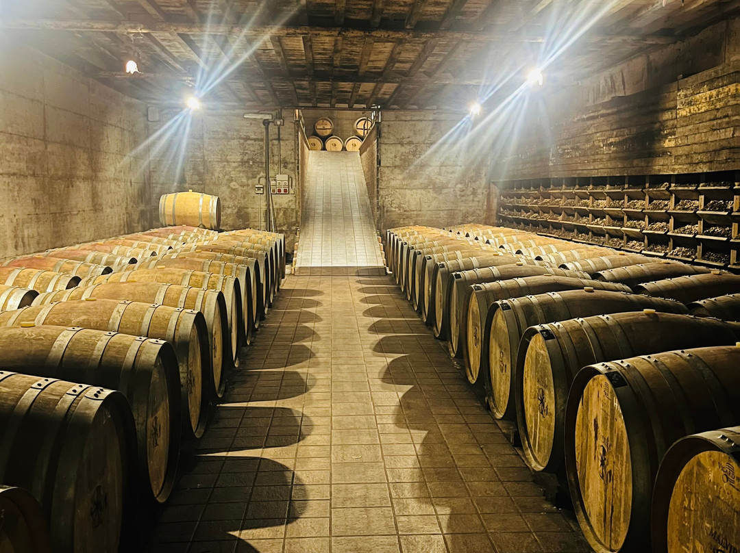 Azienda Agricola Malvirà-Canale必去景点