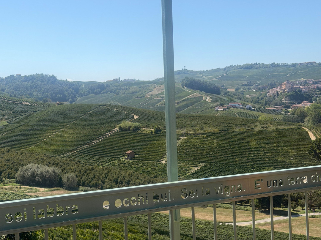 Azienda Agricola Cascina Pugnane S.S. dei F.lli Ghisolfi-Castiglione Falletto必去景点