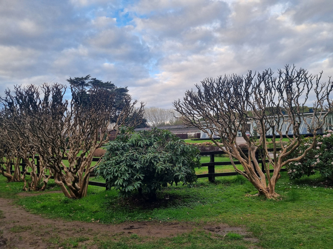 Haras Santa Amelia