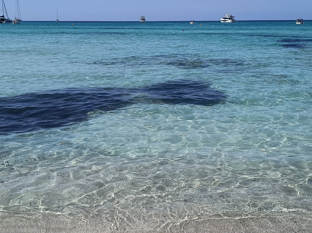 Platja d'es Trenc-Campos必去景点