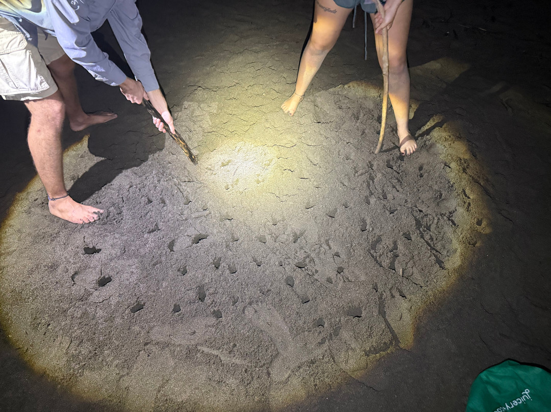 Save The Turtles Playa Venao-维纳欧海滩必去景点