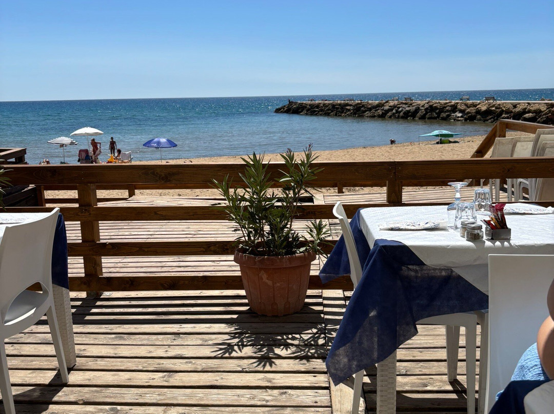 Dag Losteria a’mmare