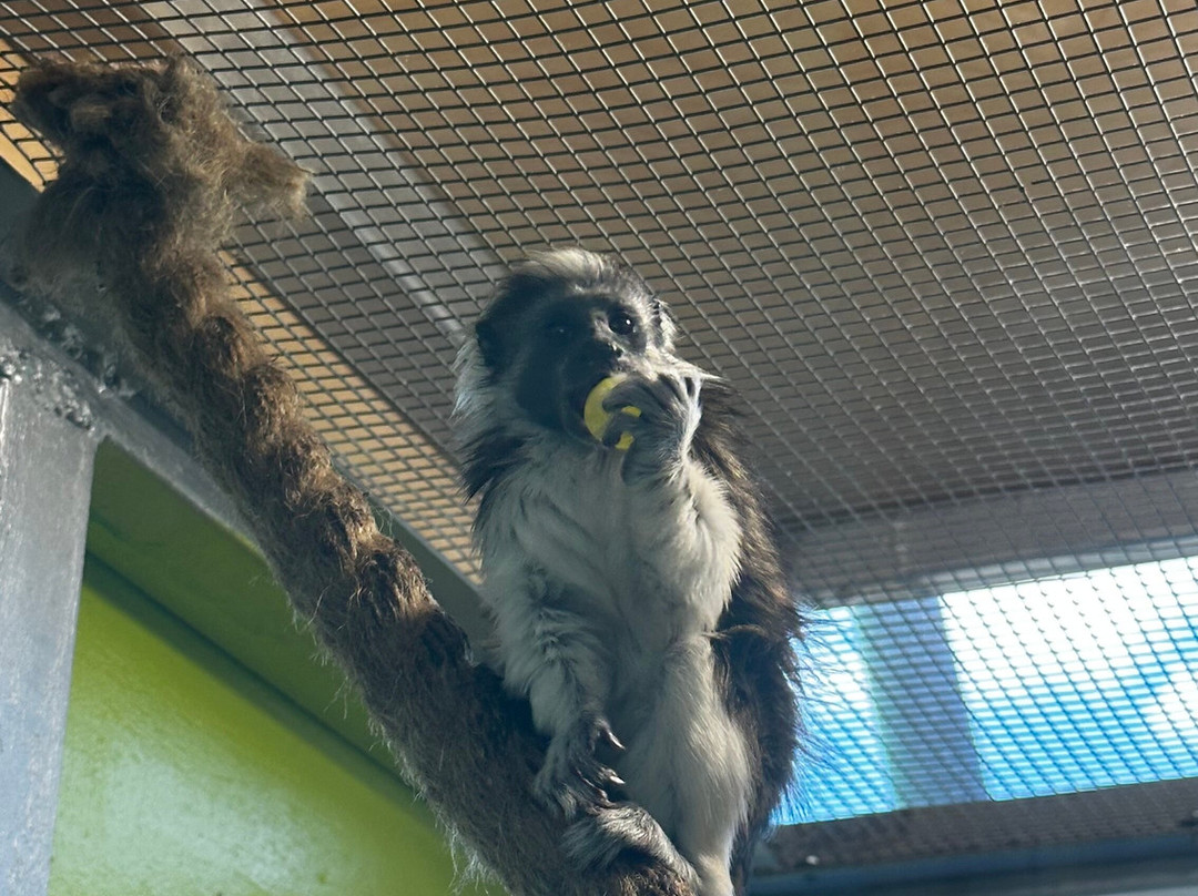 Belgorod Zoo-Belgorod必去景点