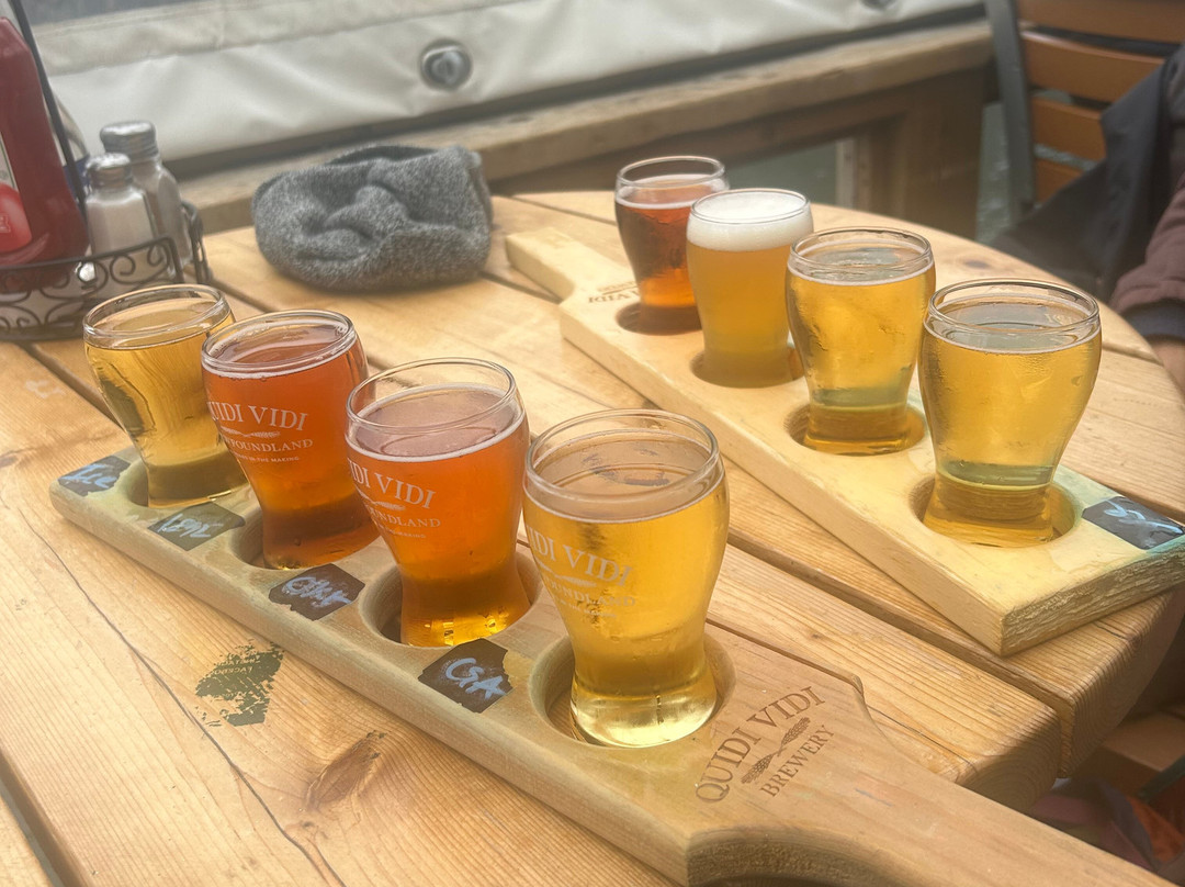 Quidi Vidi Brewery-圣约翰必去景点
