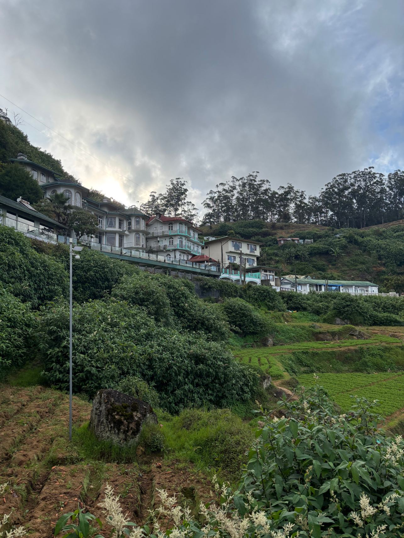 橡光夏山清风酒店-旅行者