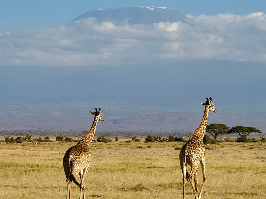 Explorer Kenya-内罗毕必去景点