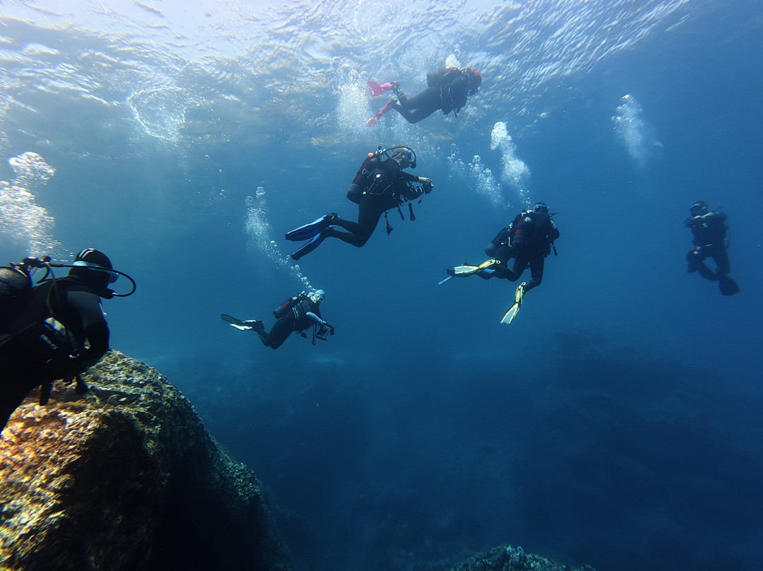 Orca Diving Ustica-Ustica必去景点