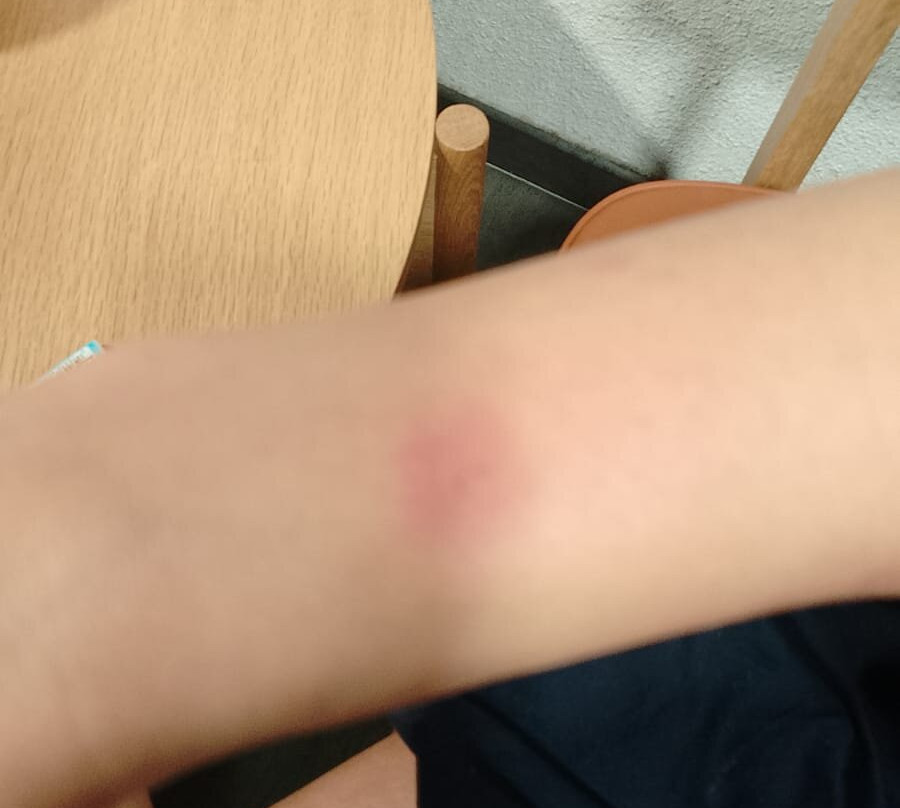 巴黎勒布尔热民宿酒店主图