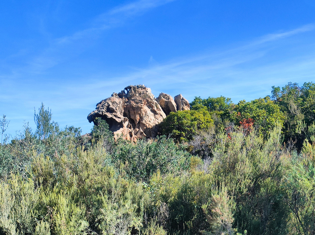 Saleccia Off Road-Saint Florent必去景点